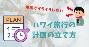 hawaikeikakuplaneyecatch